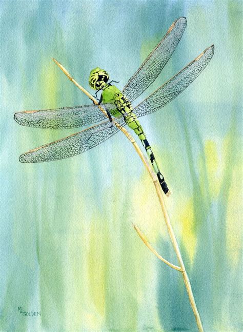 Green Dragonfly Giclee Print From A Watercolor Etsy Dragonfly
