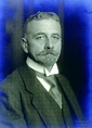 Dr. Wilhelm Külz - Der Politiker