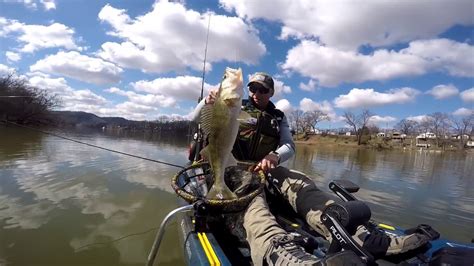 Spring 2020 Allegheny River Walleye Youtube