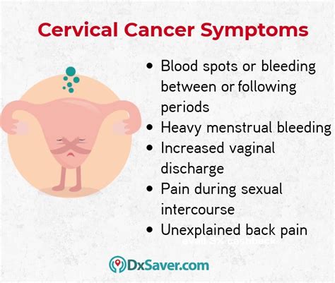 Cervical Cancer Screening Test At 79 Order Online And Get Tested