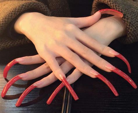 pin by enticing on long nails curved nails long nails nails