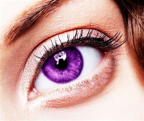 Purple Eye Color Violet Eyes Rare Eye Colors Aesthetic Eyes