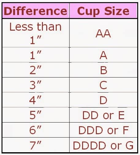 Cup Size Chart With Pictures