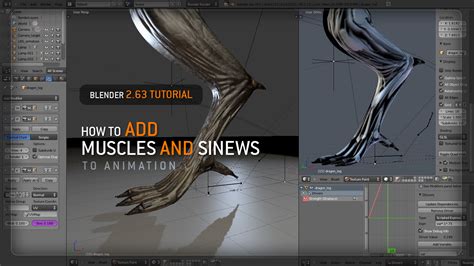 Blender Animation Tutorial Muscles And Sinews By Vitaly Sokol On