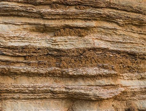 Sedimentary Rock Stock Photos Pictures And Royalty Free Images Istock