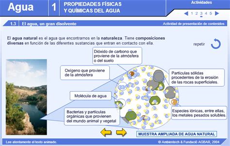 Mapa Mental Sobre El Agua Propiedades Fisicas Y Quimicas Porn Sex Picture