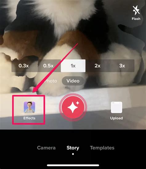 How To Remove Tiktok Filter From Any Video Step By Step Izood