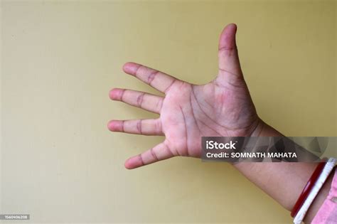 Indian Woman Hand Shows Number Five Isolated Counting Gesturing