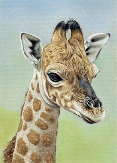 Draw These Animals Using Pastel Pencils With Images