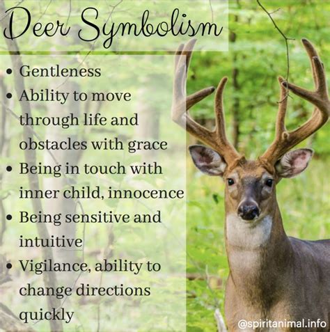 Deer Spirit Animal Deer Totem Meaning In 2020 Animal Totem Spirit