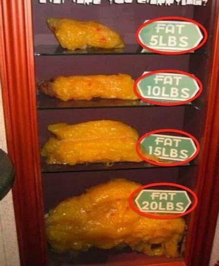 Losing Only 5 Lbs Of Fat Is An Accomplishment Health And Fitness
