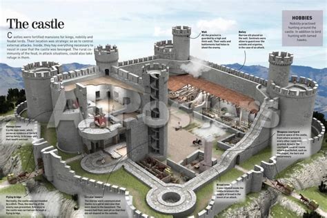 Infographic About A Medieval Castle Where Kings Nobles And Lords