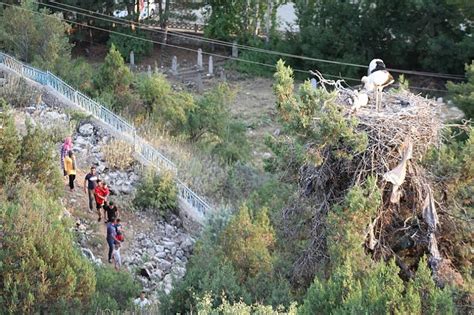 Beyşehir Gölü Milli Parkındaki Leylekler Vadisine Ziyaretçi Ilgisi Arttı