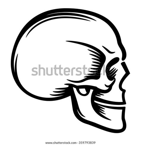 Human Skull Profile On White Background Stock Vector Royalty Free