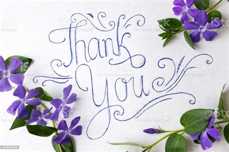 Are you searching for thank you png images or vector? Thank You Note Surrounded By Purple Flowers Stock Photo ...