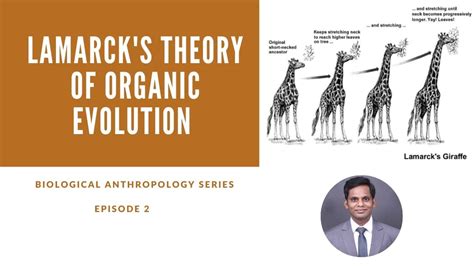 Lamarck S Theory Of Organic Evolution Biological Anthropology Youtube