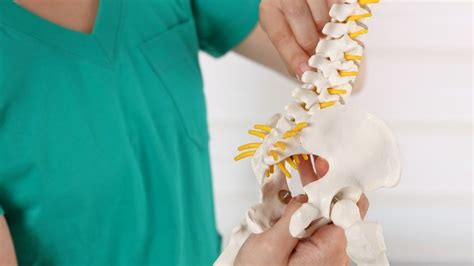10 Reasons For Tailbone Pain Sitting Chiropractors Pain Guide 2023