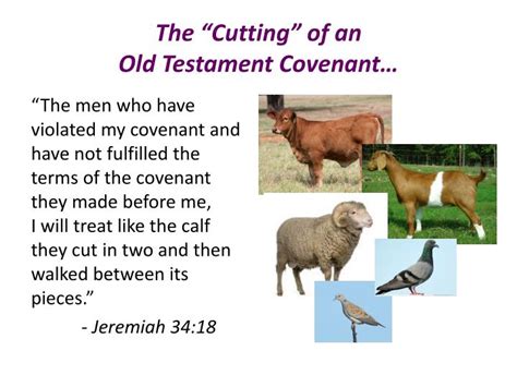 Ppt The Abrahamic Covenant Genesis 15 Powerpoint Presentation Id