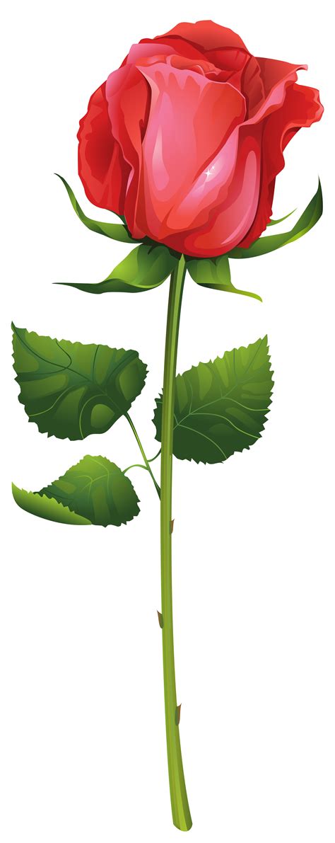 Rose Stem Clipart 20 Free Cliparts Download Images On Clipground 2024