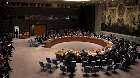 United Nations Security Council Reform Text Should Represent Universal