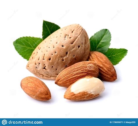 Almonds Nuts With Leaves Stock Image Image Of Snack 178699071