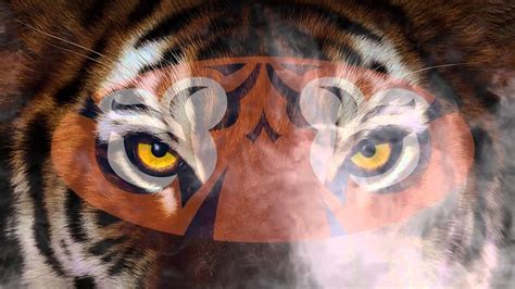 Auburn Tigers Wallpaper Hd 75 Images