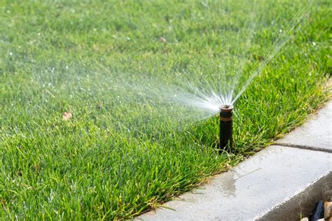The Best Time To Water Grass And How Often To Water The Lawn Bob Vila