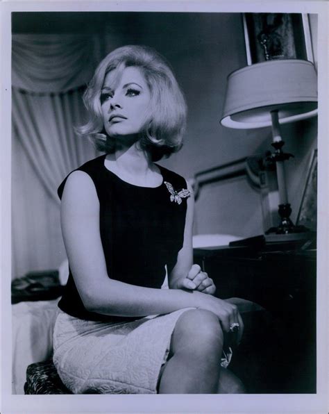 Lg301 1960s Original Photo Virna Lisi Beautiful Italian Hollywood Starlet Actrices Hollywood