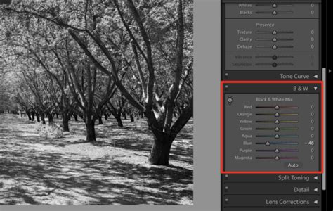 Lightroom In Black And White Creativepro Network