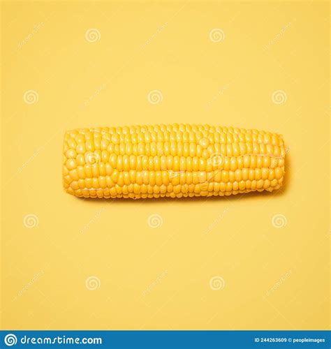 Ready To Sink Your Teeth into this. Shot of a Cob of Corn Against a