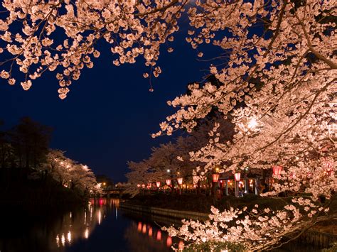 Top 32 Cherry Blossoms Spots In Japan [Best Viewing Spots For Sakura