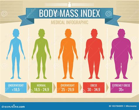 Infographic Medico Di Vettore Dellindice Di Massa Corporea Della Donna