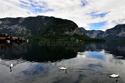 Photos Of Mountain And Lake In Hallstatt Of Austria With Three Swimming