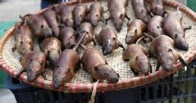 What Next Nigerians Caught Selling Rat Meat In London Market Video