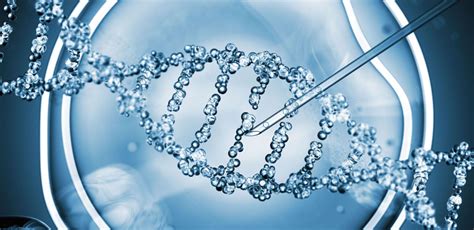 How To Read Your Genetic Testing Results MTHFR Support Australia