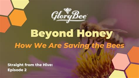 Straight From The Hive Beyond Honey How We Are Saving The Bees Youtube
