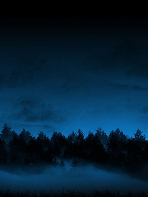 Free Download Trees Forest Night Fog Mist Blue Cg Sky Wallpaper