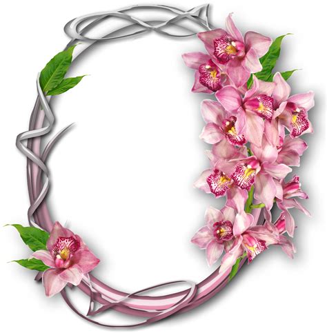 Mancha de pintura rosa, pink liquid png; Download Marco De Circulo Con Flores Rosas - ภาพ หน้า ปก ...