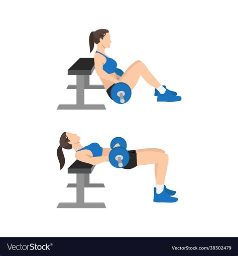 Woman Doing Barbell Hip Thrusts Exercise Vector Image