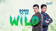 Born to Be Wild (programa de televisión) Descripción generalyHospedadores