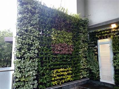 Vertical Garden Wall Artificial Pune Living Gardens