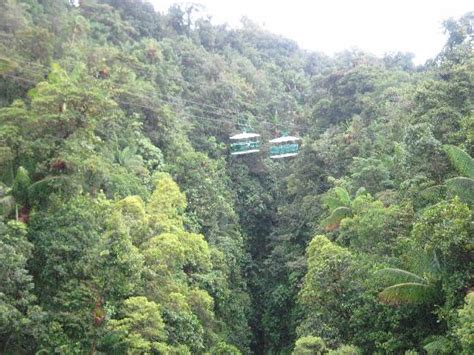 Dominica Aerial Tramway 2020 All You Need To Know Before You Go With