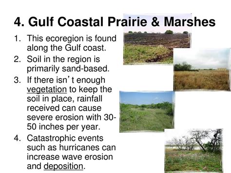 Effects Of Weathering Erosion And Deposition Ppt Download