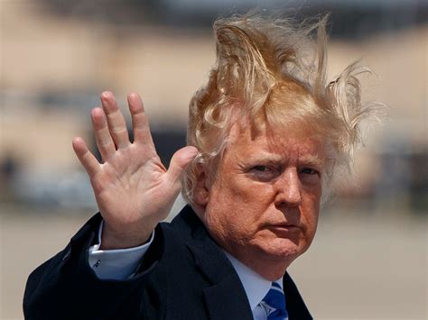 President donald trump's wig getting blown off by. The 21 best memes of Trump's presidency so far