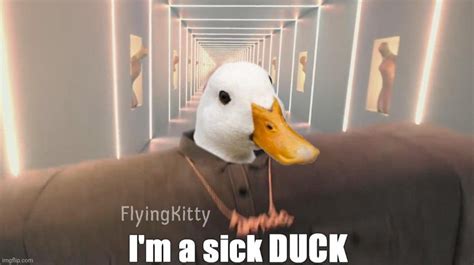 Im A Sick Duck Imgflip