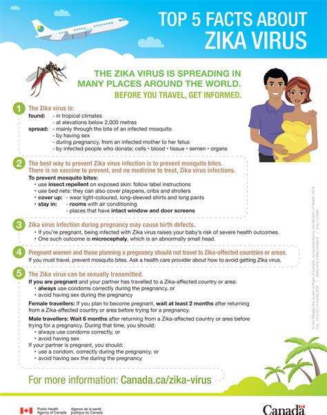 Top 5 Facts About Zika Virus Canadaca