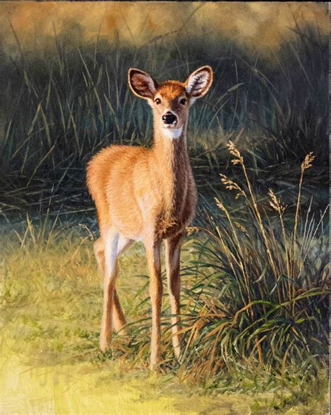 wildlife art by renowned iowa artist larry zach featuring farm scenes whitetail deer