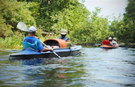 People Canoeing In A Small River In Summer Editorial Photo Image Of