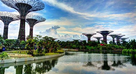 It is a city garden district comprising the bay south garden, bay east garden and bay central garden. File:Supertree Grove, Gardens by the Bay, Singapore ...