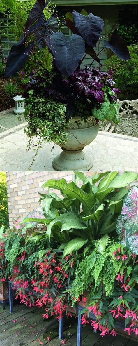 16 Colorful Shade Garden Pots And Plant Lists A Piece Of